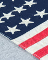 LOVE USA APPAREL Men's Heavy Duty Heavy Weight Micro Fleece Hoodie Sweatshirt with Flag Made in USA 701D